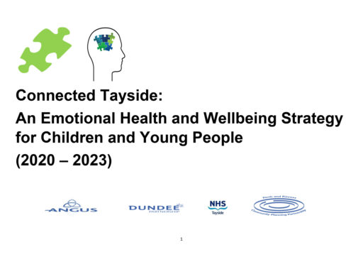 Emotional Health and Wellbeing Strategy Consultation
