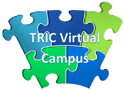 Virtual Campus Applications Now Open